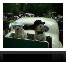 CLASSIC  CARS  RONNEBY 022.jpg